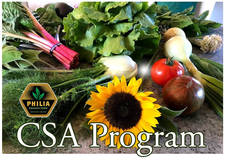 CSA Program