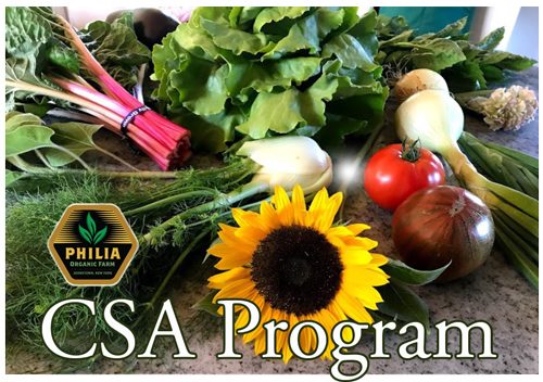 CSA_Program