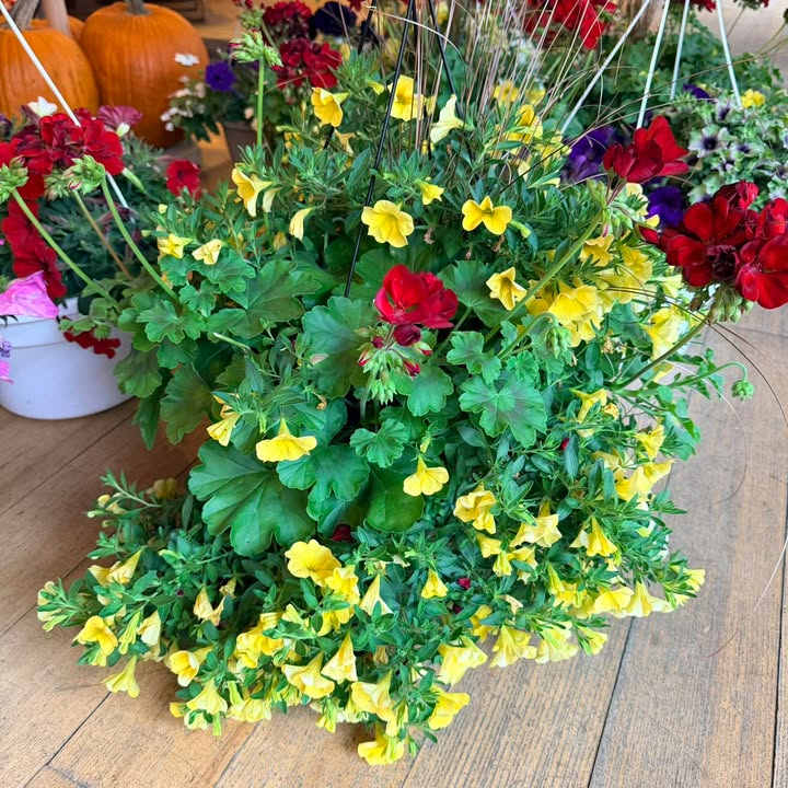 Mohawk Harvest Cooperative Market