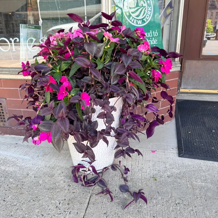 Mohawk Harvest Cooperative Market