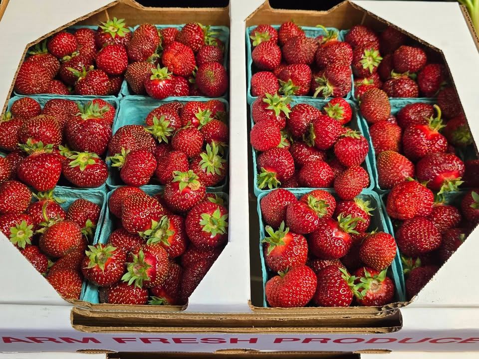 Mohawk Harvest Cooperative Market