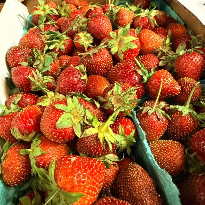 Mohawk Harvest Cooperative Market