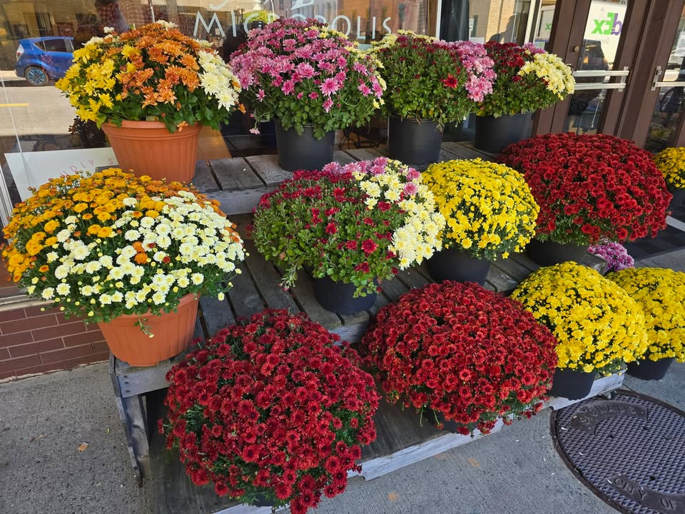 Mohawk Harvest Cooperative Market